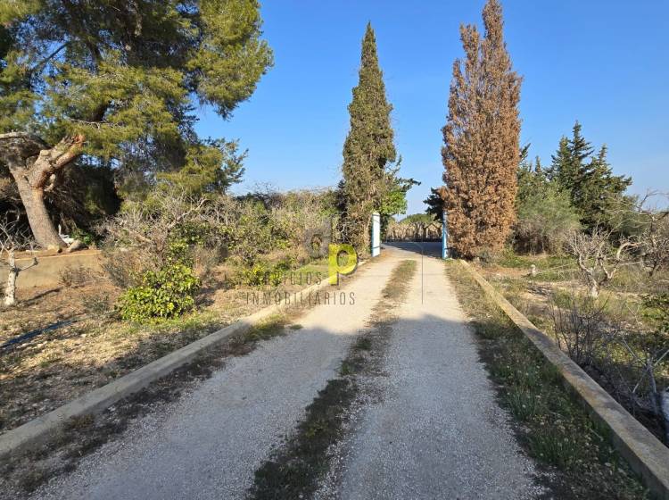 Sale - Villa - Elche Pedanías - Maitino