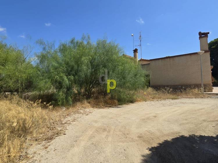 Sale - Villa - Elche Pedanías - Maitino