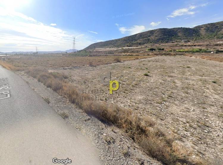 Venta - Finca Rústica - Monforte del Cid