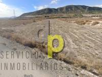 Venta - Finca Rústica - Monforte del Cid