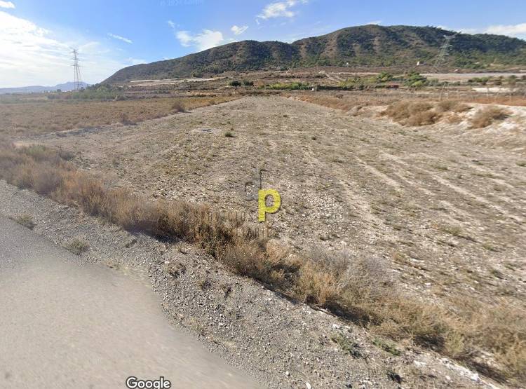 Venta - Finca Rústica - Monforte del Cid