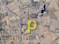 Venta - Finca Rústica - Monforte del Cid