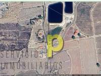 Venta - Finca Rústica - Monforte del Cid