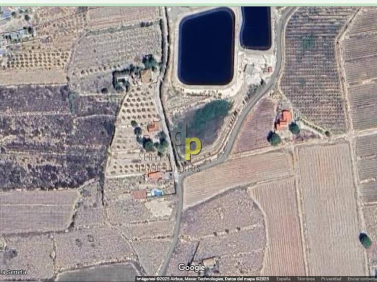 Venta - Finca Rústica - Monforte del Cid