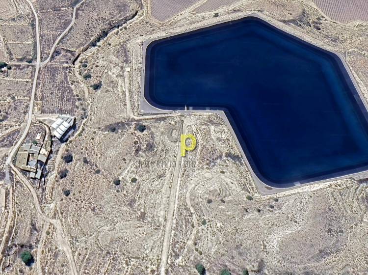 Venta - Finca Rústica - Monforte del Cid