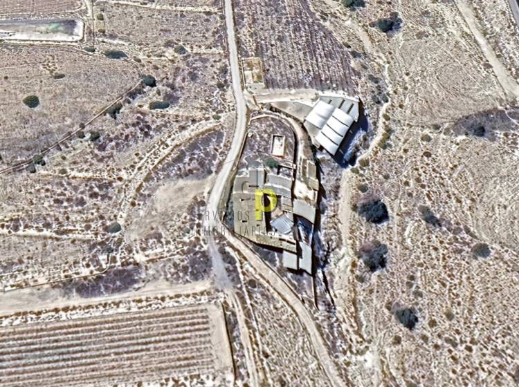 Venta - Finca Rústica - Monforte del Cid