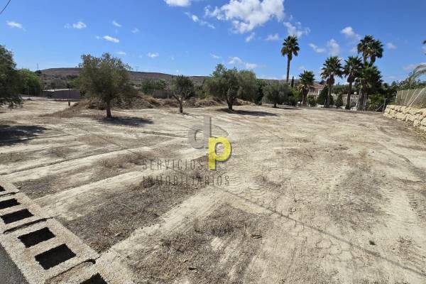 Plot - Sale - Rebolledo - Rebolledo