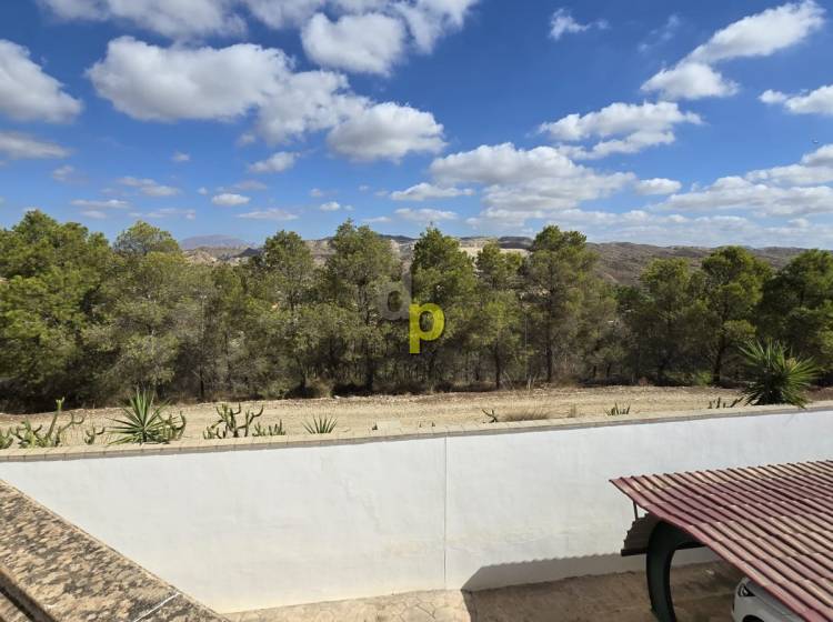 Sale - Villa - Elche Pedanías - Polígono