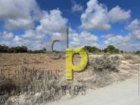 Long time Rental - Rustic Finca - Torrellano - Torrellano Bajo