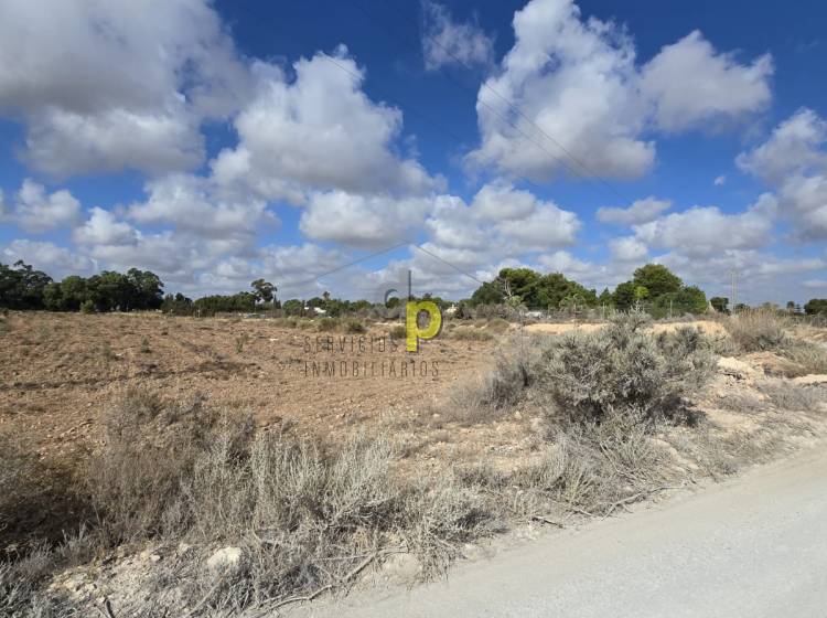 Long time Rental - Rustic Finca - Torrellano - Torrellano Bajo