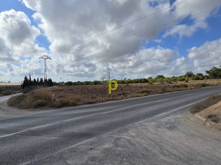 Long time Rental - Rustic Finca - Torrellano - Torrellano Bajo