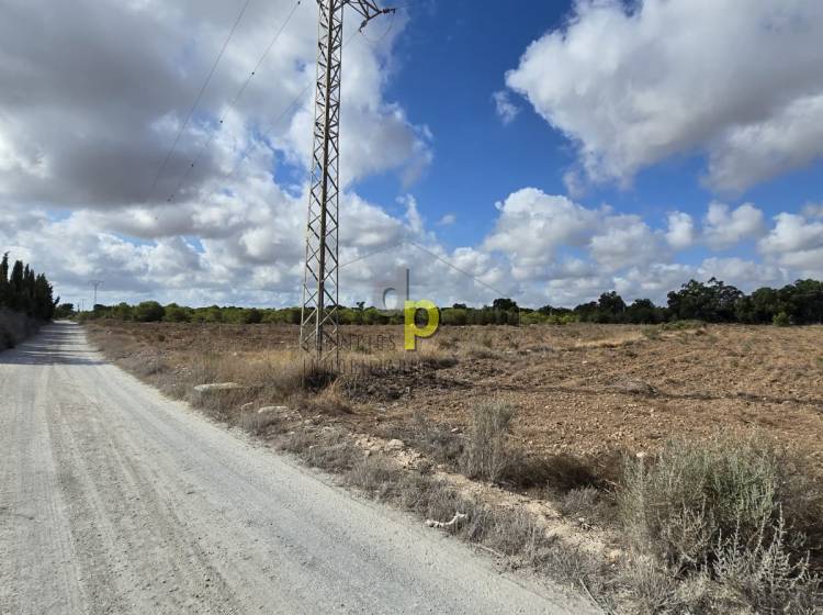 Long time Rental - Rustic Finca - Torrellano - Torrellano Bajo