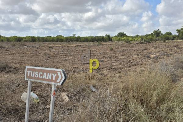 Rustic Finca - Long time Rental - Torrellano - Torrellano Bajo