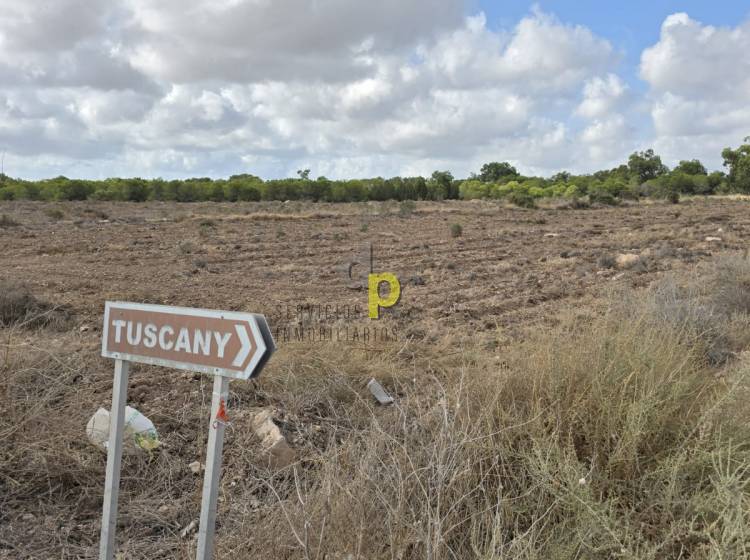 Long time Rental - Rustic Finca - Torrellano - Torrellano Bajo