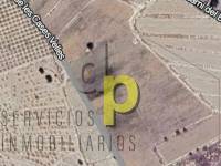 Venta - Finca Rústica - Torrellano - Santa Ana