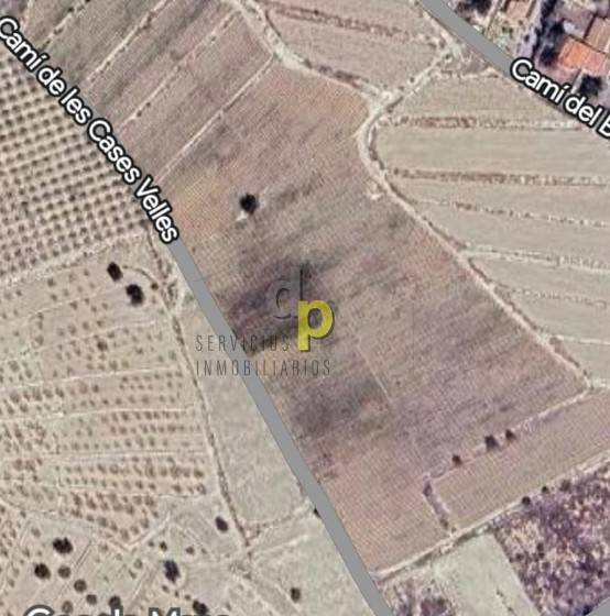 Venta - Finca Rústica - Torrellano - Santa Ana