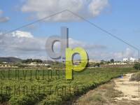 Venta - Finca Rústica - Torrellano - Santa Ana