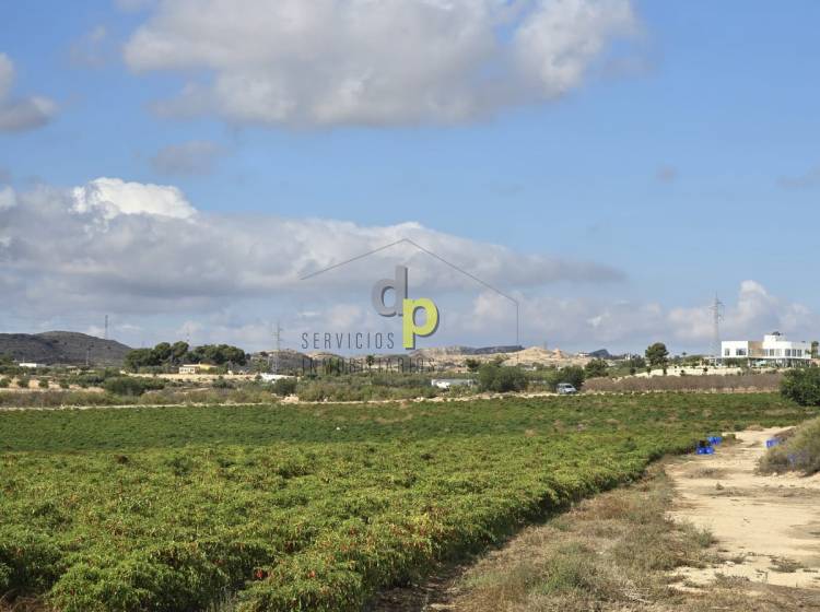 Venta - Finca Rústica - Torrellano - Santa Ana