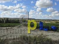 Venta - Finca Rústica - Torrellano - Santa Ana