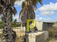 Venta - Finca Rústica - Torrellano - Santa Ana