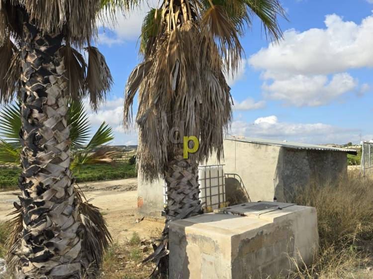 Venta - Finca Rústica - Torrellano - Santa Ana