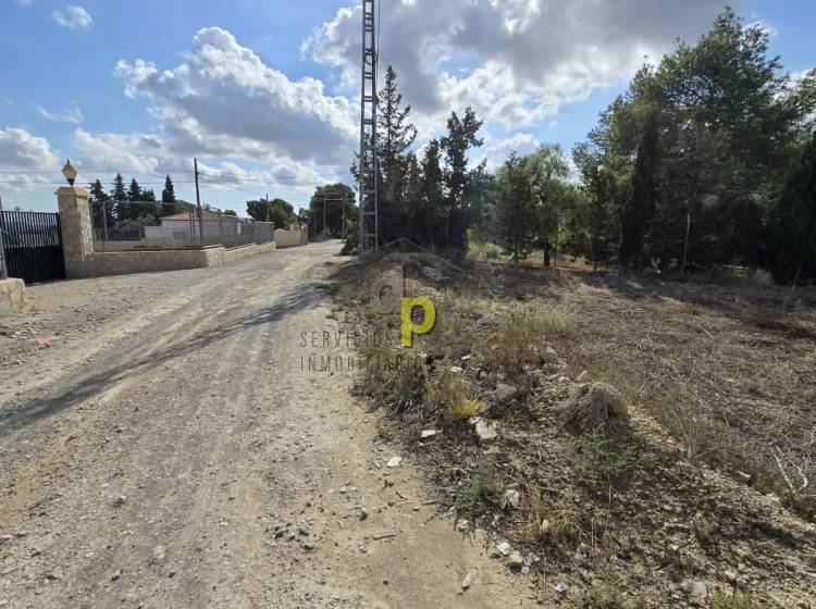 Venta - Finca Rústica - Torrellano - Santa Ana