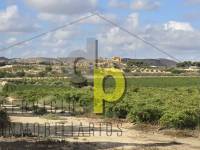 Venta - Finca Rústica - Torrellano - Santa Ana