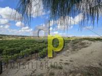 Venta - Finca Rústica - Torrellano - Santa Ana