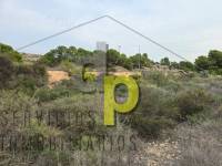 Venta - Finca Rústica - Torrellano - Torrellano Alto