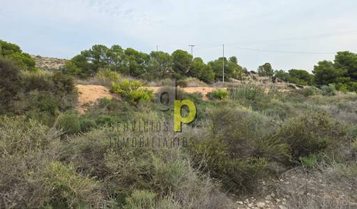 Finca Rústica - Venta - Torrellano - Torrellano Alto