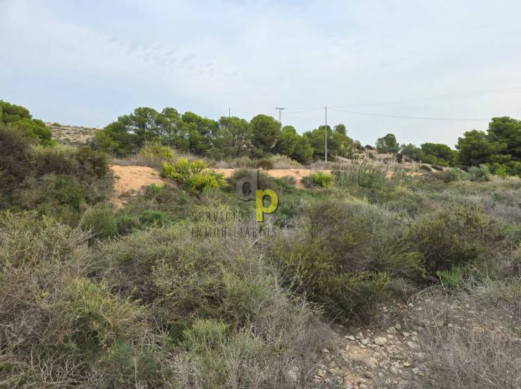 Venta - Finca Rústica - Torrellano - Torrellano Alto