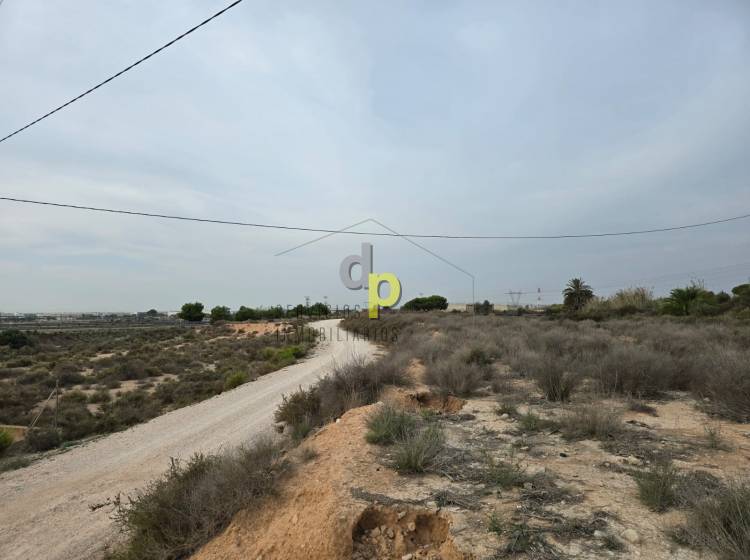 Venta - Finca Rústica - Torrellano - Torrellano Alto