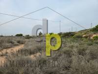 Venta - Finca Rústica - Torrellano - Torrellano Alto