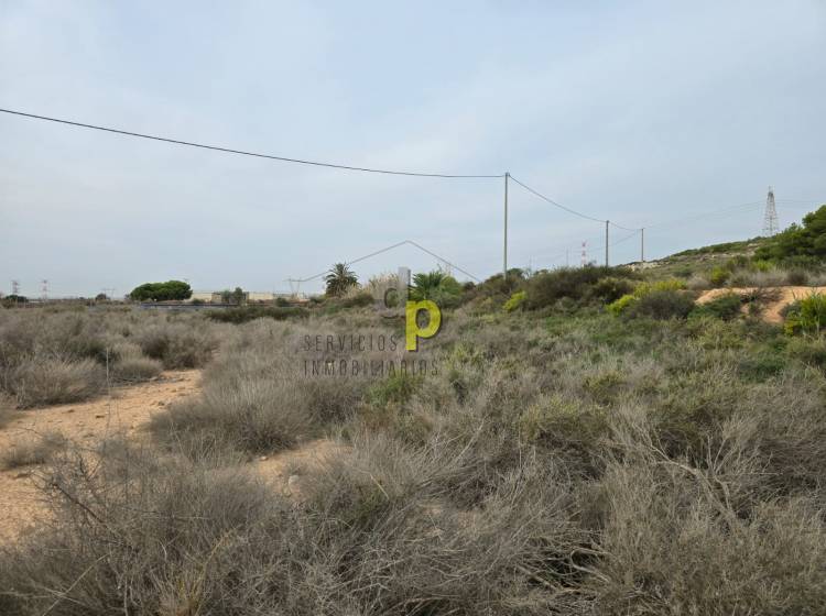 Venta - Finca Rústica - Torrellano - Torrellano Alto