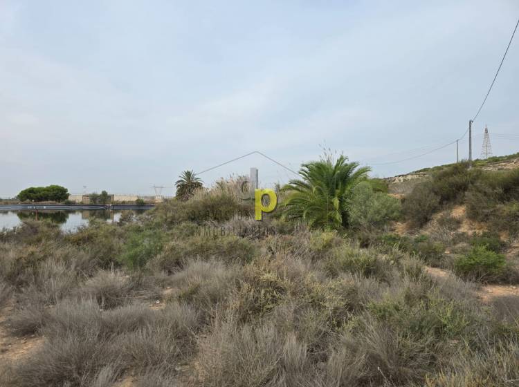 Venta - Finca Rústica - Torrellano - Torrellano Alto