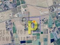 Alquiler larga temporada - Finca Rústica - Elche Pedanías - Maitino