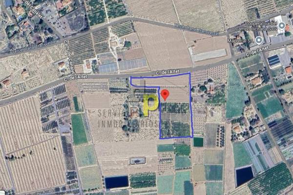 Rustic Finca - Long time Rental - Elche Pedanías - Maitino