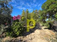 Sale - Country House - Torrellano - Torrellano Bajo