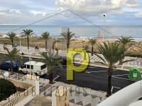 seasonal rental - Apartment / Flat - Arenales del Sol - Arenales