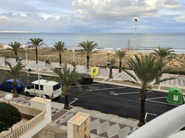seasonal rental - Apartment / Flat - Arenales del Sol - Arenales