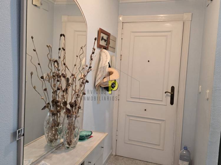 seasonal rental - Apartment / Flat - Arenales del Sol - Arenales