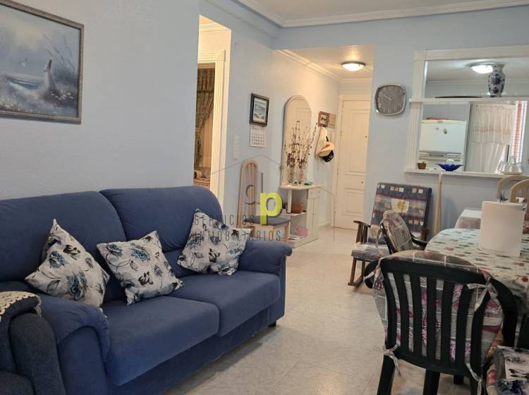 seasonal rental - Apartment / Flat - Arenales del Sol - Arenales