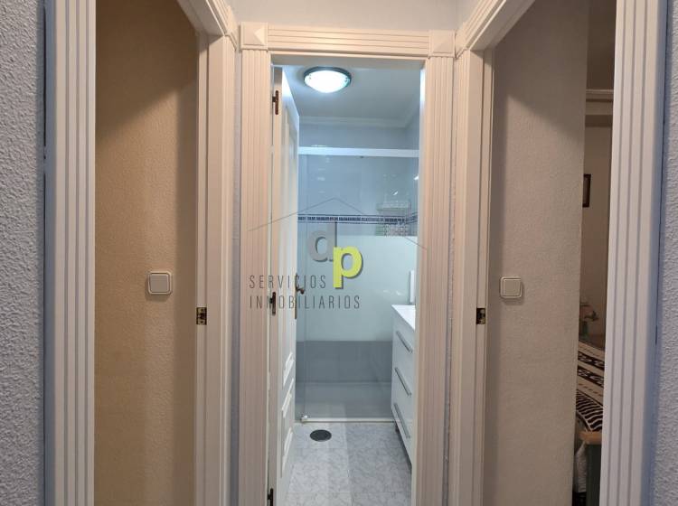 seasonal rental - Apartment / Flat - Arenales del Sol - Arenales