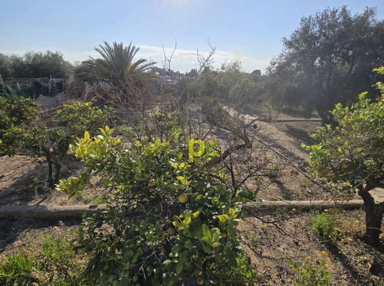 Venta - Casa de campo - Torrellano - Torrellano Alto