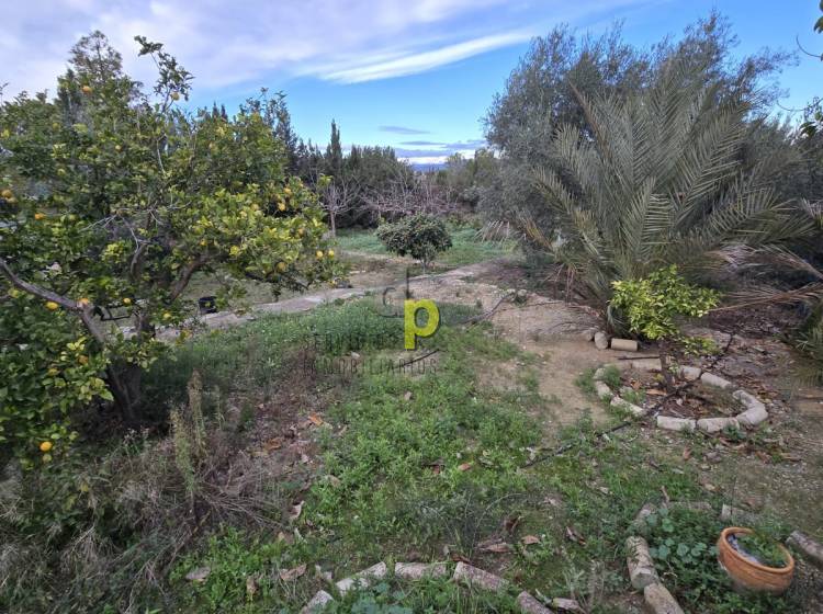 Short time rental - Villa - Elche Pedanías - Santa Ana