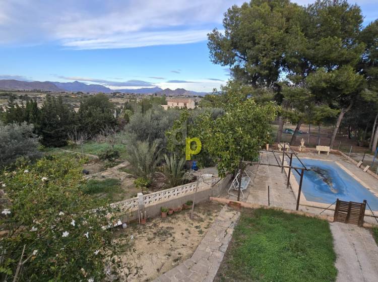 Short time rental - Villa - Elche Pedanías - Santa Ana