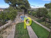 Short time rental - Villa - Elche Pedanías - Santa Ana