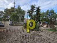 Short time rental - Villa - Elche Pedanías - Santa Ana