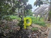 Venta - Casa de campo - Torrellano - Torrellano Alto