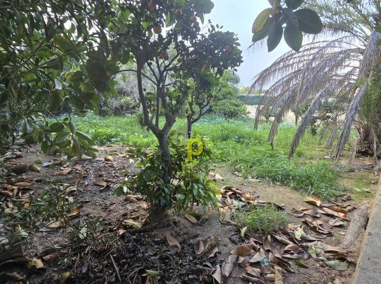 Venta - Casa de campo - Torrellano - Torrellano Alto